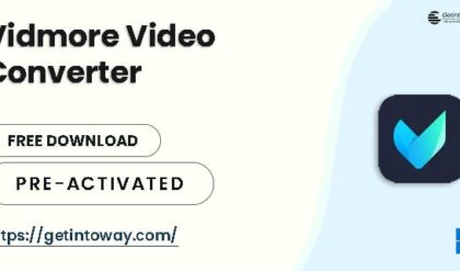 Vidmore Video Converter 1.3.60