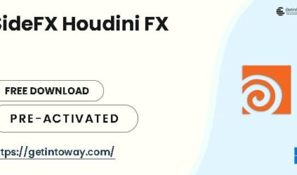 SideFX Houdini FX 19.5.435