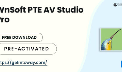 WnSoft PTE AV Studio Pro 11.0.17 Build 2