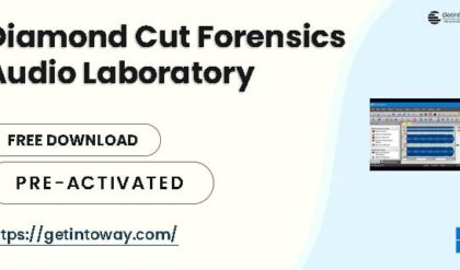 Diamond Cut Forensics Audio Laboratory 11.0