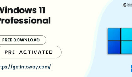 Windows 11 Pro 24H2 Build 26100.3194 (No TPM Required) Preactivated Multilingual February 2025