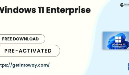 Windows 11 Enterprise 24H2 Build 26100.2314 (No TPM Required) Preactivated Multilingual November 2024