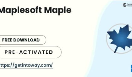 Maplesoft Maple 2025.1