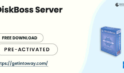 DiskBoss Server 15.3.12