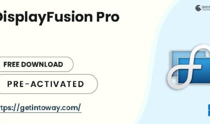 DisplayFusion Pro 11.1